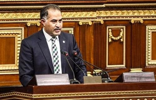 "وكيل النواب": من الأفضل أن تجرى انتخابات مجالس النواب والشيوخ والمحليات في وقت واحد