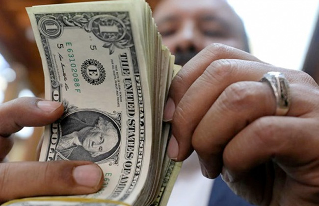 المالية: تثبيت الدولار الجمركي على السلع الأساسية وتخفيضه 14 قرشا للاستفزازية