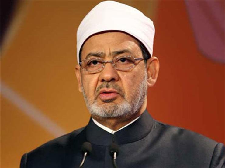 "جميع الأطراف خاسرة".. شيخ الأزهر: الطلاق ليس الحل الأول للنشوز