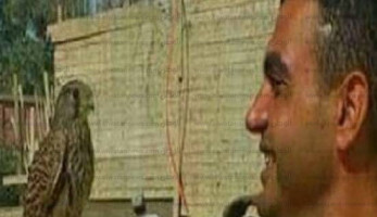 أرملة الشهيد أحمد منسي: هشام عشماوي رمز لكل حقير وخائن لبلده