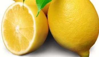 طرح الليمون بـ45 جنيها بفروع مجمعات الأهرام الاستهلاكية بالقاهرة والجيزة