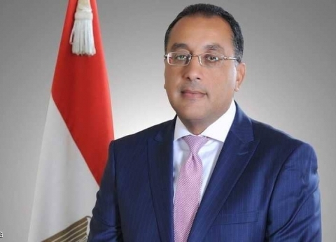 الحكومة: نغطي 95% من استهلاكنا للدواجن