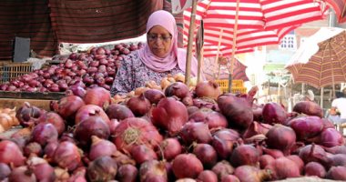 بعد رفع الحظر.. الحجر الزراعى: شروط جديدة لتصدير البصل إلى السعودية