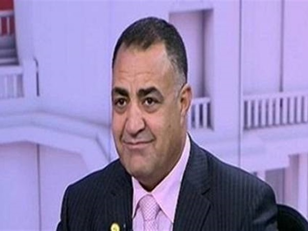 إلهامي عجينة: التهرب من دفع الضرائب "خيانة عظمى"