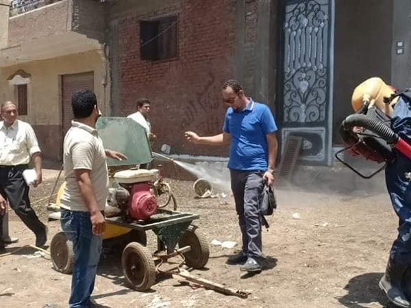 حشرة "القراد" تهاجم الأهالي بالمنوفية (صور)