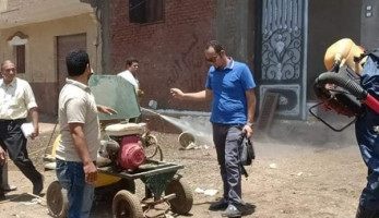 حشرة "القراد" تهاجم الأهالي بالمنوفية (صور)