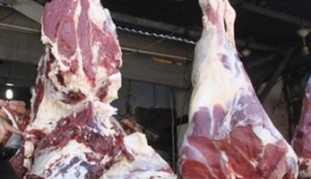 شعبة القصابين: انخفاض في أسعار اللحوم قبل عيد الأضحى