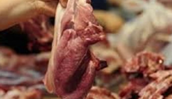الحجر البيطري: التحفظ على 40 طن لحوم غير مستوفاة الشروط الصحية