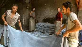 "دباغة الجلود": مليون و600 ألف قطعة حصيلة عيد الأضحى المتوقعة هذا العام