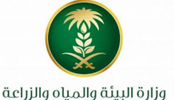 عاجل.. البيئة ترد على شائعات تحصيل رسوم جمع المخلفات