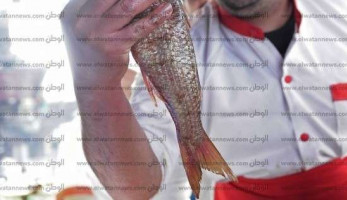 ارتفاع عدد حالات الإصابة بتسمم الفسيخ في الإسكندرية لـ66.. وتعافي 34