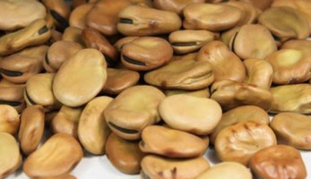 "الغرفة التجارية": 20% تراجعا بأسعار الفول بعد تراجع الدولار وزيادة المعروض