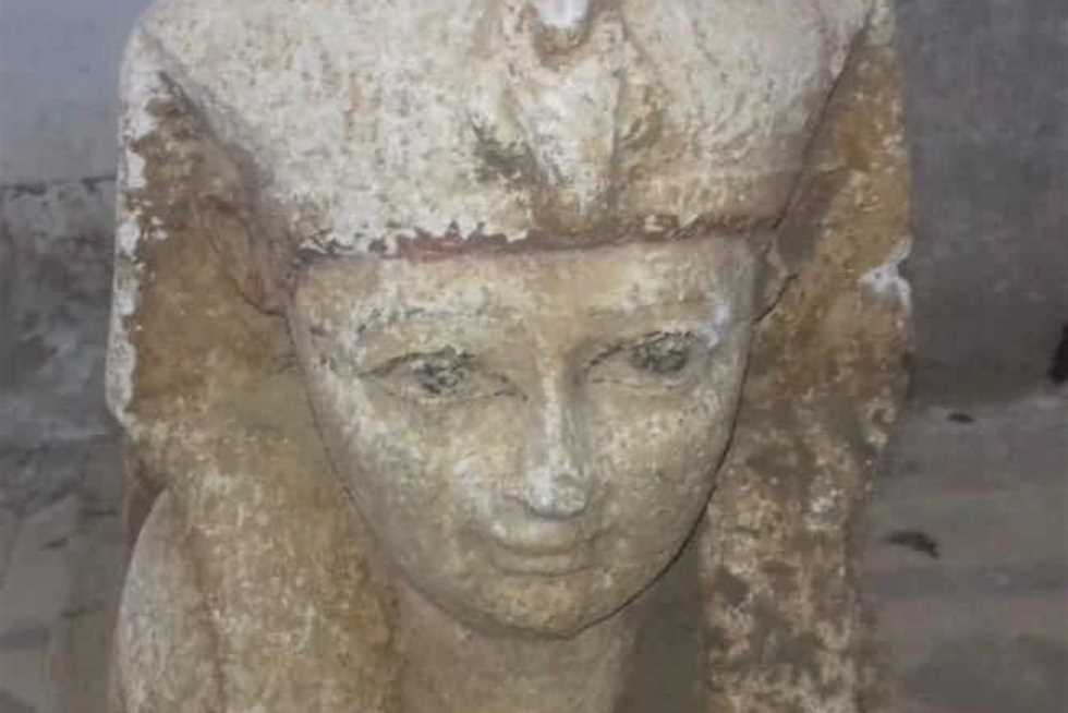 بعد العثور على «أبوالهول الصغير».. البعثة الأثرية تواصل المسح والتنقيب بالمنيا