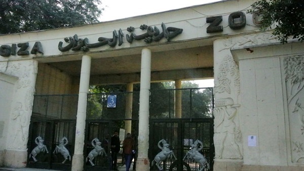 طوارئ بحدائق الحيوان لحمايتها من الأمطار