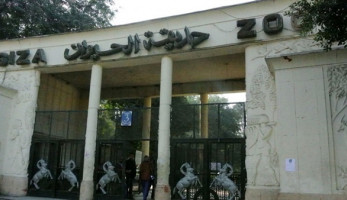 طوارئ بحدائق الحيوان لحمايتها من الأمطار