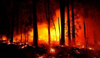 وثقت عدسته حرائق الغابات.. مصور أسترالي لـ"الوطن": أصعب مهمة منذ 15 عاما