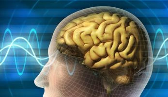 دراسة تؤكد: ممارسة الرياضة والتمرينات تعزز الذاكرة مثل الكافيين