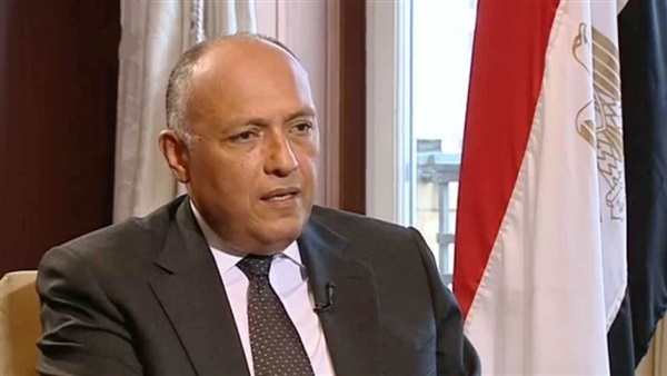 الخارجية: جهود مصر في دعم القضية الفلسطينية لا تتوقف