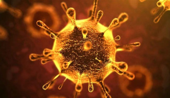 بعد فيروس كورونا.. الصحة توجه رسالة إلى المواطنين