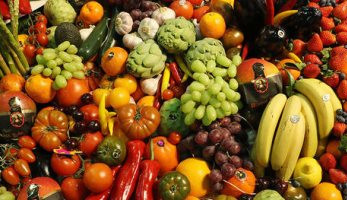 14 مليون دولار ارتفاعا في صادرات 10 منتجات زراعية مصرية بنهاية 2019
