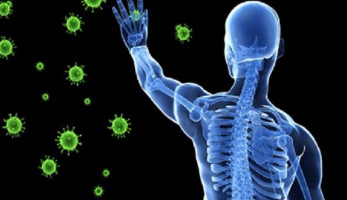 الصحة تنصح بـ 3 أغذية تقوي الجهاز المناعي للوقاية من "كورونا"‏