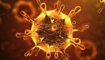 فيروس كورونا يزيل الغبار عن وزارة الثقافة ويعيد الجمهور الغائب.. تفاصيل