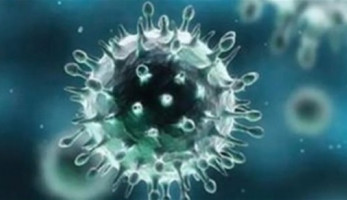 بدل العدوى 19 جنيها.. صحة البرلمان تطالب الحكومة بزيادته