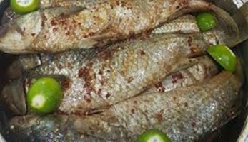 يسبب أضرارا للحوامل والمرضعات.. احذر من خطورة التصنيع المنزلي للفسيخ