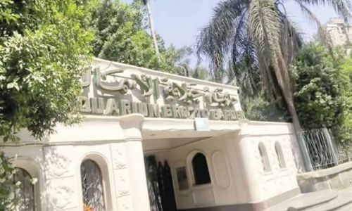 الزراعة : "حديقة الأسماك في منزلك".. فيلم تسجيلي ضمن مبادرة شم النسيم في البيت