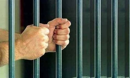 التحفظ على 10 طرب حشيش ضبطت بحوزة عاطل بالخانكة