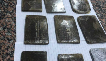 ضبط عاطل حاول ترويج  150 طربة حشيش ببرج العرب