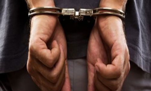 ضبط عاطل بالفيوم حول مسكنه لزراعة 264 شجرة بانجو