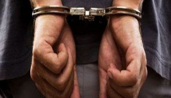 ضبط عاطل بالفيوم حول مسكنه لزراعة 264 شجرة بانجو