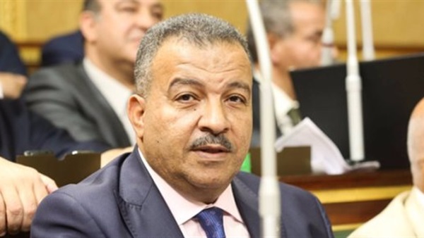 وجبات وليس مائدة.. رئيس صحة البرلمان يوضح تفاصيل واقعة "الإفطار الجماعي"