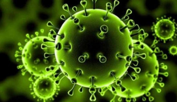 مدير حميات الأقصر ينفي وفاة حالات مصابة بكورونا داخل المستشفى