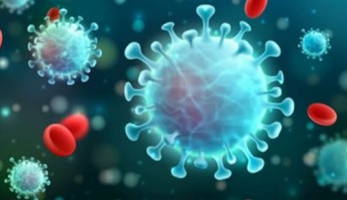 أستاذ مناعة: هذا الإجراء يحسم الجدل حول الإصابة بكورونا ..فيديو