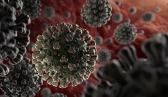 وزير صحة سابق يستنكر أسعار المستشفيات الخاصة لعلاج كورونا: "خراب بيوت"