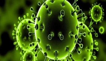 خبيرة فيروسات تحسم جدل انتشار كورونا عن طريق الهواء