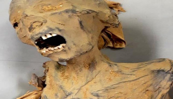 زاهى حواس: التوصل لسبب وفاة المومياء الصارخة فى خبيئة الدير البحري