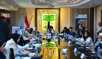 "الأمومة" يتدخل لإنقاذ 4 أطفال هربوا من سوء المعاملة بالمنيا
