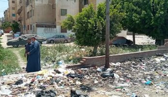 النائب أحمد السجينى: رسوم القمامة شرائح من 4 إلى 30 جنيها حسب استخدام الكهرباء