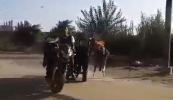 غضب على السوشيال ميديا.. قائد تروسيكل يتعمد صدم طفلة صغيرة من أجل التصوير| فيديو