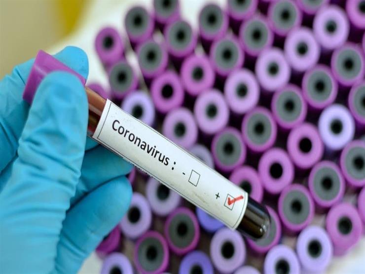 المتطوعون أنتجوا أجسامًا مضادة.. لقاح "فايزر-بيونتيك" يظهر نتائج إيجابية