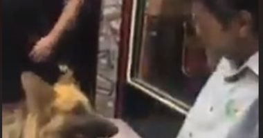 فيديو صادم..شاب من ذوى الاحتياجات الخاصة ينهار إثر تعرضه للتنمر والترويع بكلب مفترس
