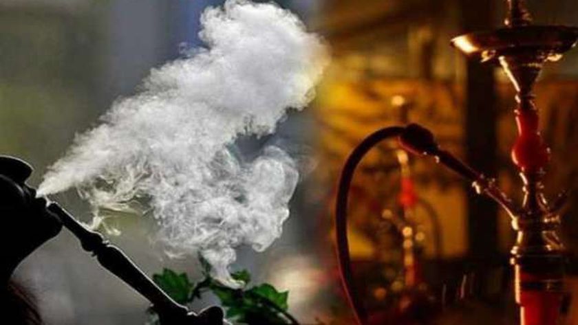شعبة الدخان: 20 مليار جنيه خسائر متوقعة بسبب منع "الشيشة"