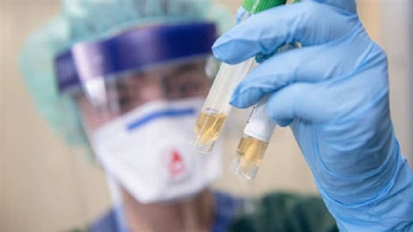 أستاذ صحة عامة: من المبكر الحكم على فاعلية الشيح في علاج الكورونا