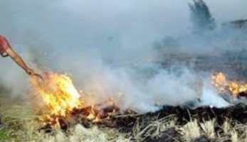البيئة ترصد 238  محضرا لحرق المخلفات الزراعية