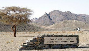 تعرف على حقيقة وفاة 11 درفيلا بوادي الجمال
