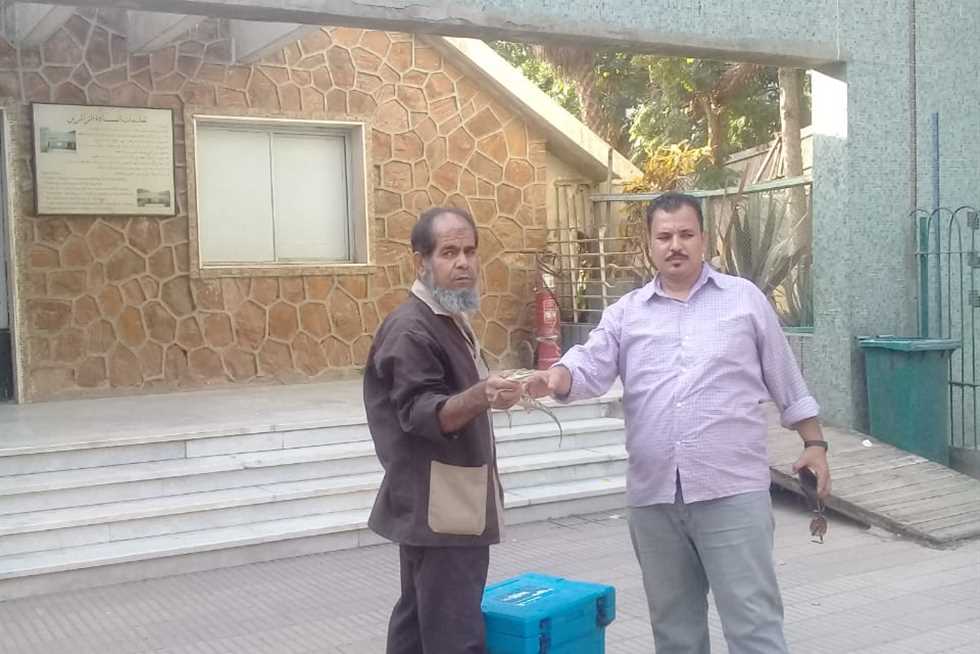 «البيئة»: تسليم تمساح «ميت يزيد» بالغربية إلى حديقة الحيوان بالجيزة