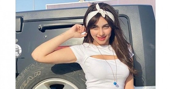 إحالة قضية تعدي أسرة فتاة التيك توك على الأمن بكفر شكر للجنايات
